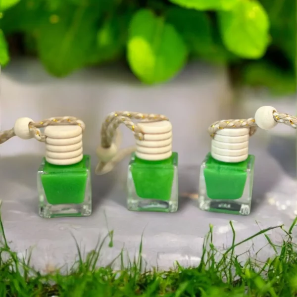 diffuseur-parfum-voiture-bois-de-santal-douce-flamme